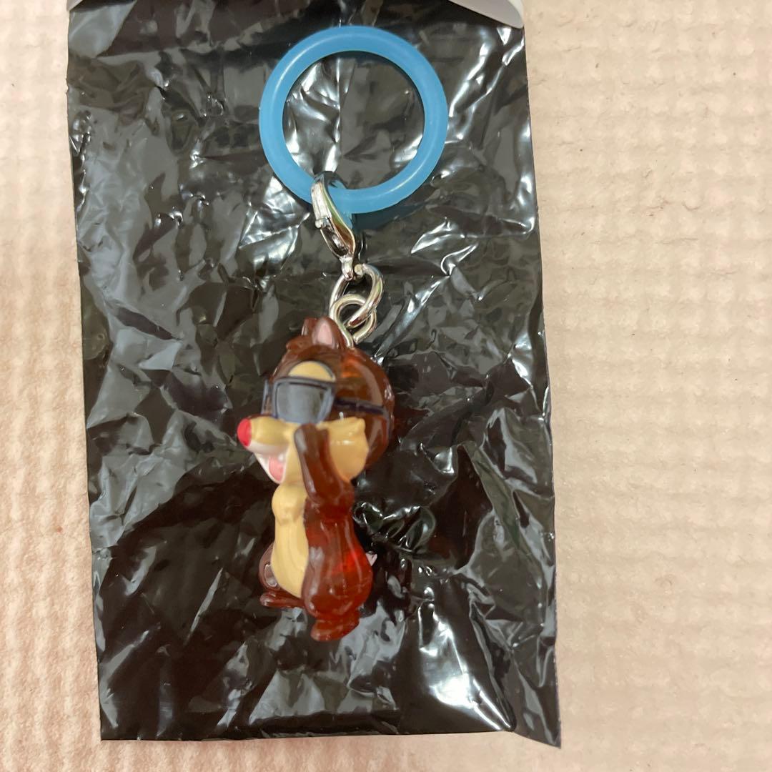新品未使用　めじるしアクセサリー　ディズニーsummer デール — image 2