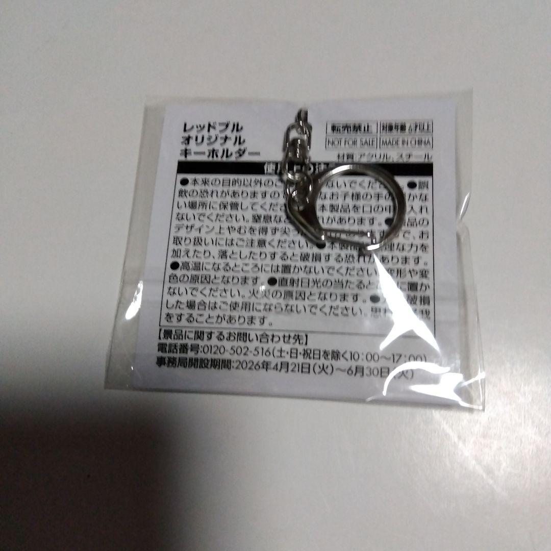 Red Bull RISE LIKE PRO キーホルダー 2種セット — image 3