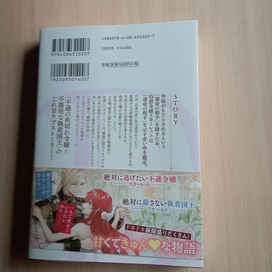 運命の、醜い、赤い糸。 ～糸切れと虐げられた令嬢は隣国の国王に溺愛される～ — image 3
