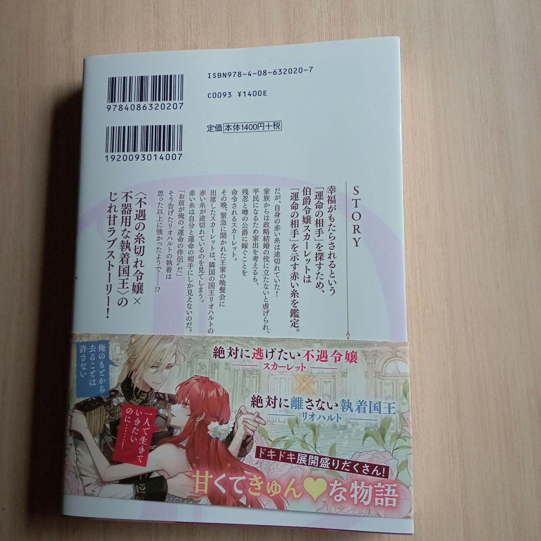運命の、醜い、赤い糸。 ～糸切れと虐げられた令嬢は隣国の国王に溺愛される～ — image 4