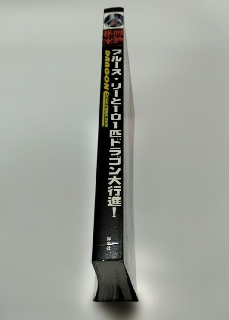 ブルース・リーと101匹ドラゴン大行進! — image 3