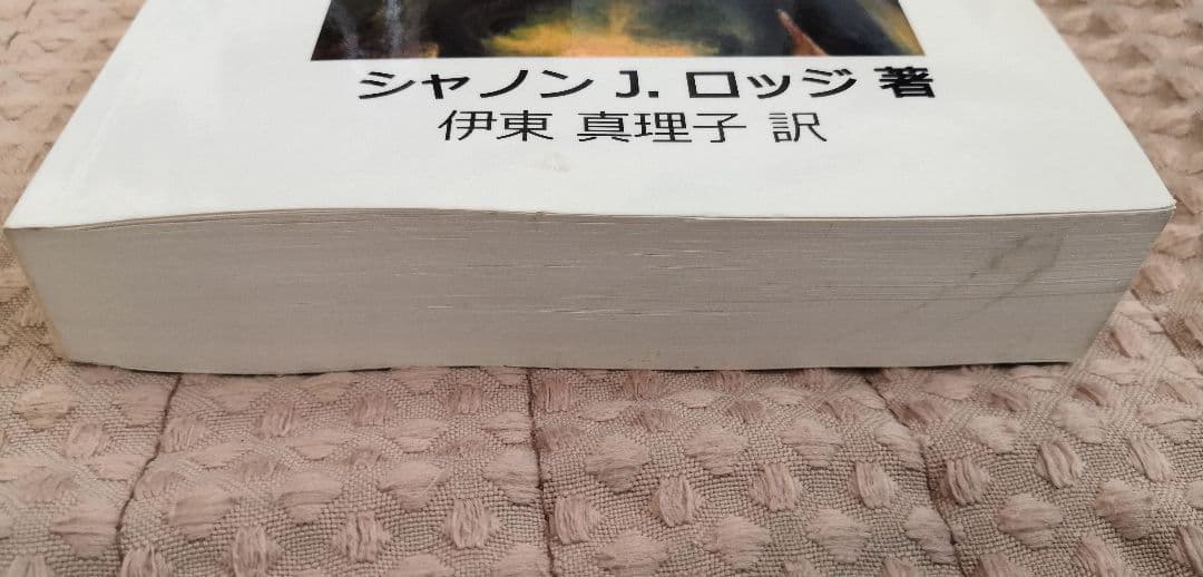 デイティヨガ 　 聖なる心の瞑想 デザインエッグ社　シャノン J ロッジ — image 4