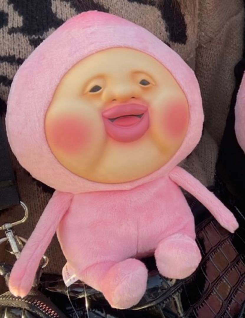 一番くじA賞⭐️こびとづかん カクレモモジリ ぬいぐるみ — image 2
