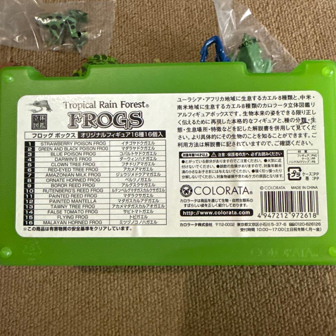 カロラータ15種1個欠品Tropical Rain Forest FROGS — image 2