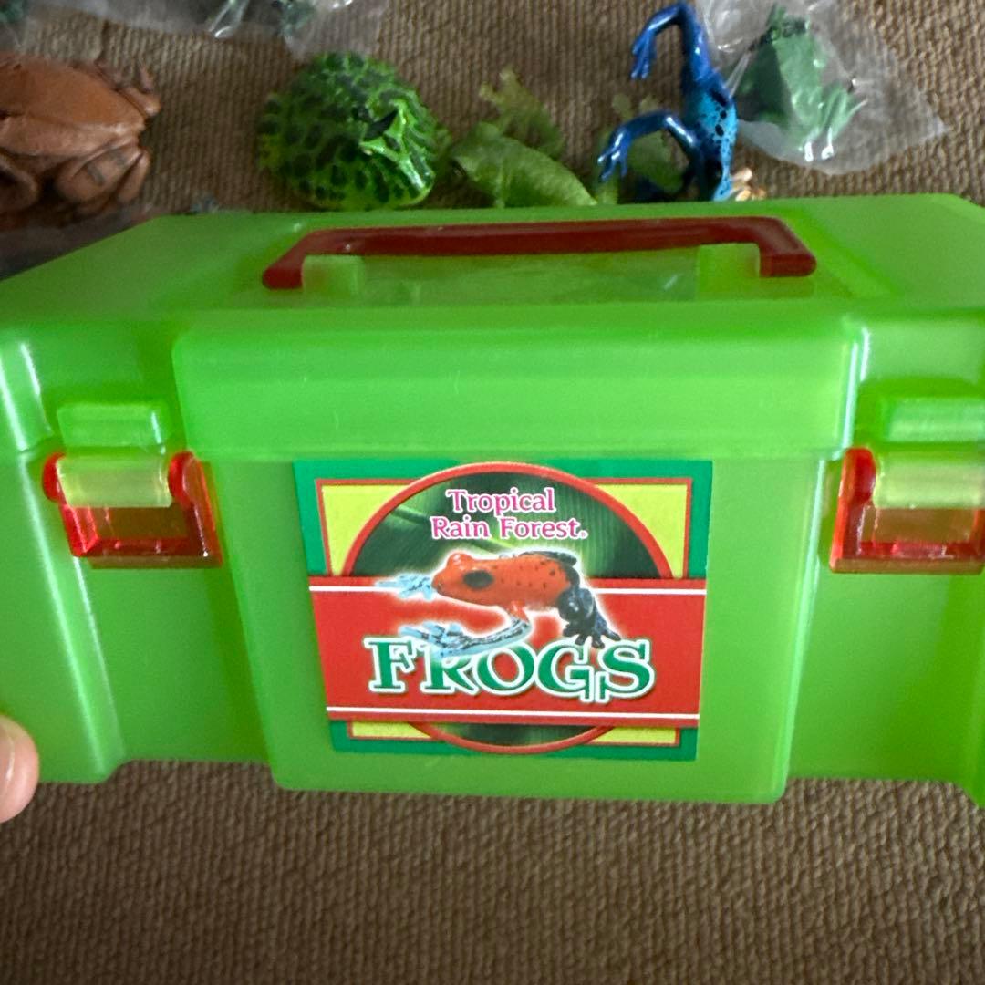 カロラータ15種1個欠品Tropical Rain Forest FROGS — image 4