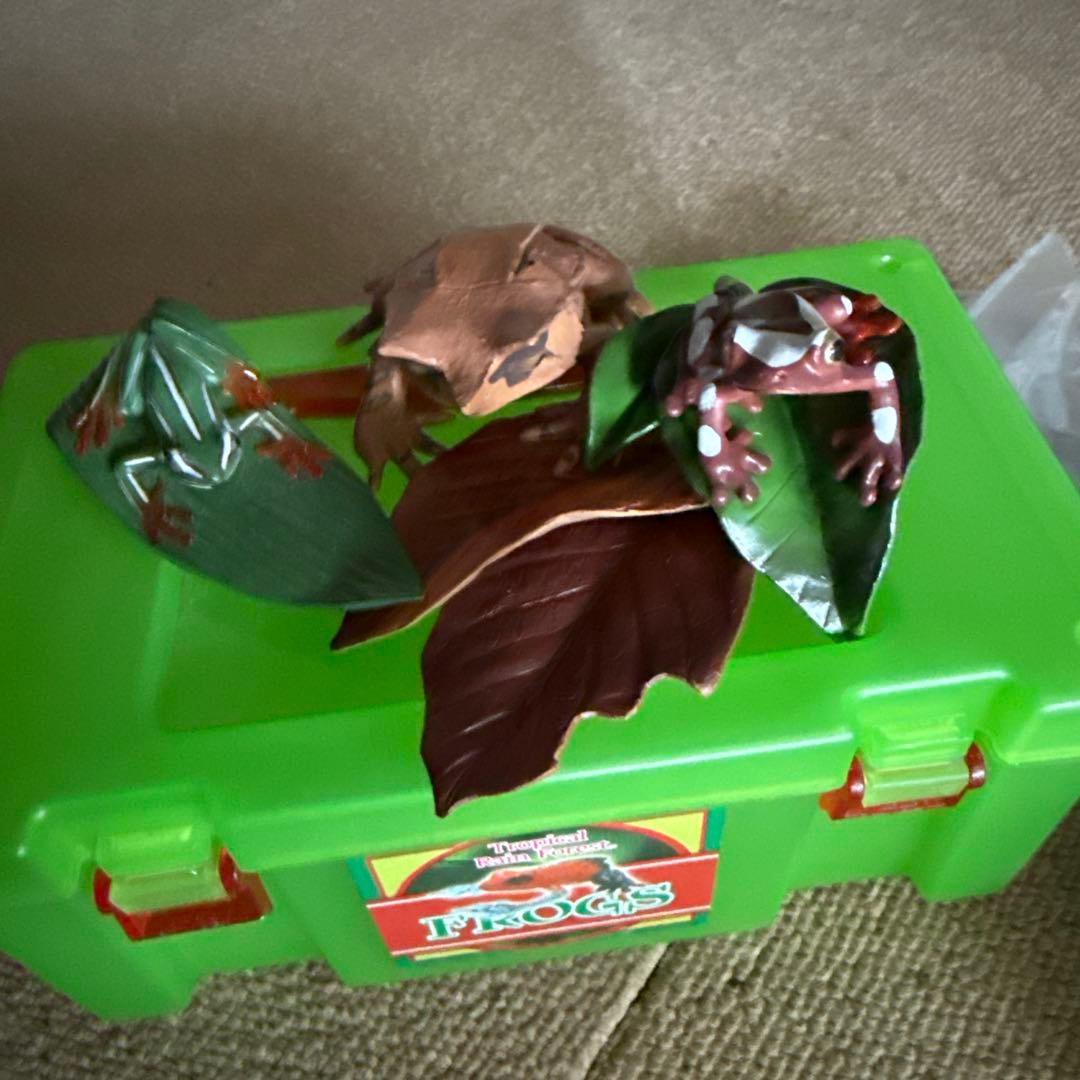 カロラータ15種1個欠品Tropical Rain Forest FROGS — image 5