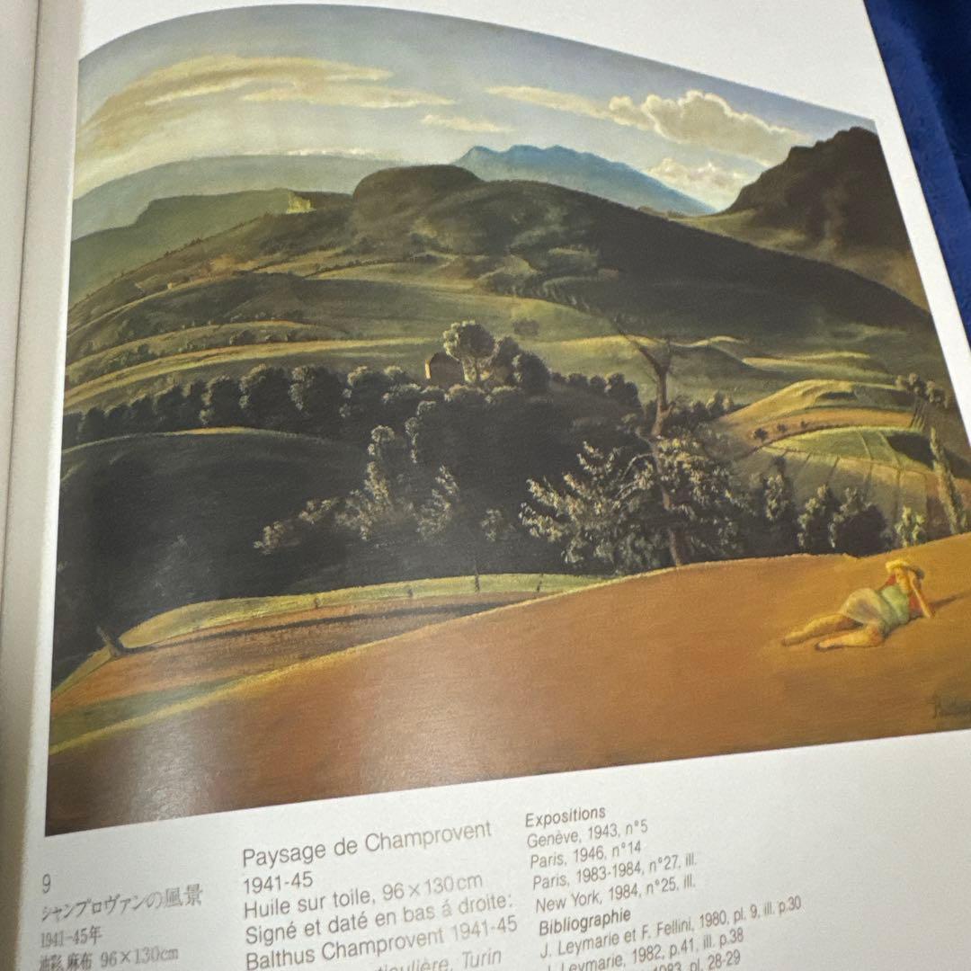 図録 バルチュス展 Balthus 1984年 朝日新聞社 画集 カタログ — image 4