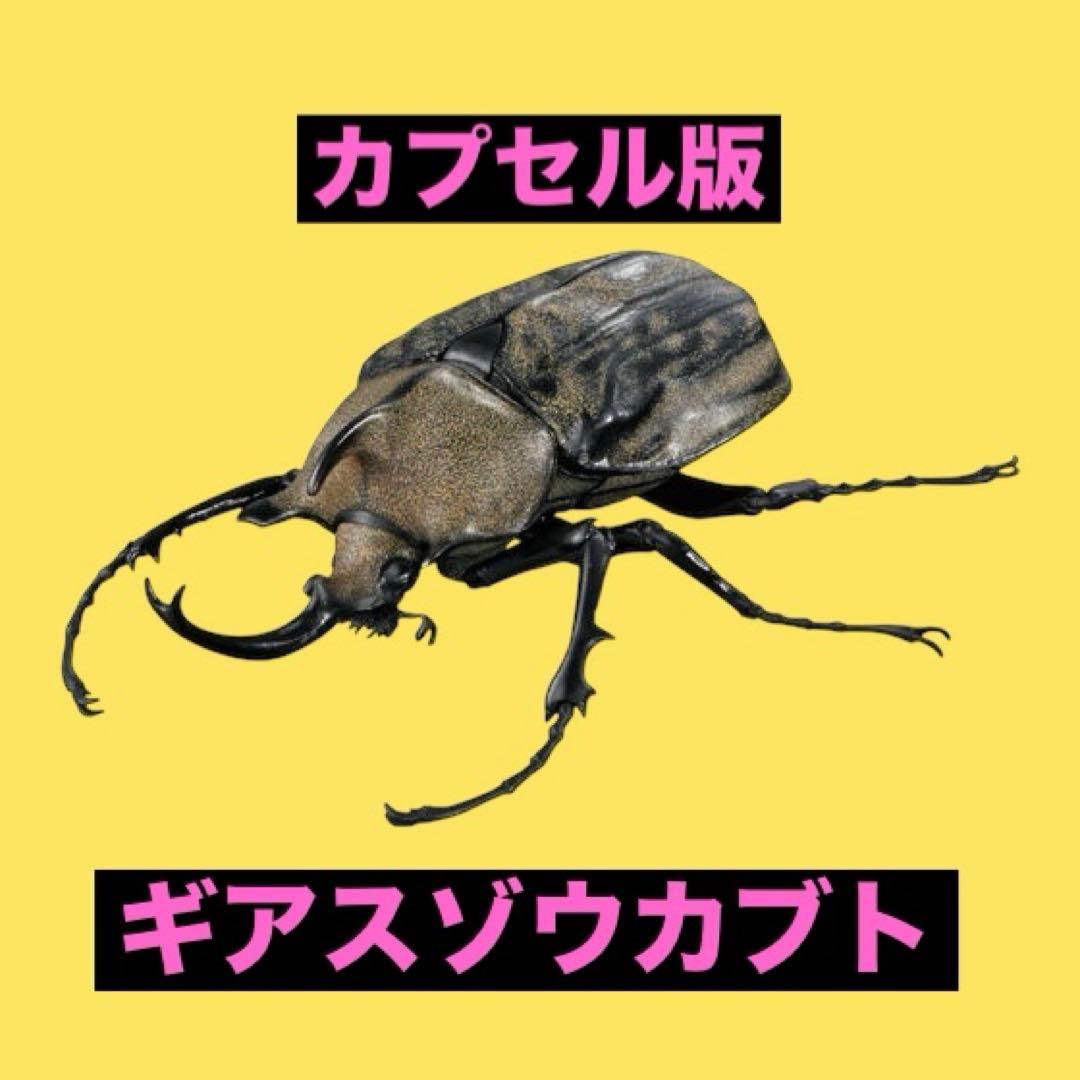 いきもの大図鑑アドバンス　カブトムシ０４　ギアスゾウカブト　単品　カプセル版 — image 1