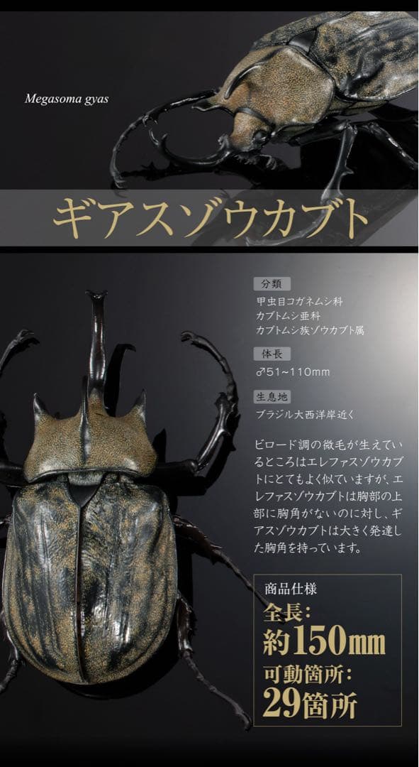 いきもの大図鑑アドバンス　カブトムシ０４　ギアスゾウカブト　単品　カプセル版 — image 2