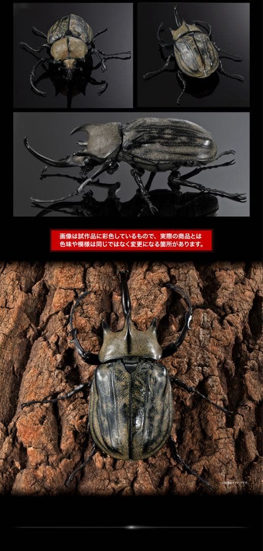いきもの大図鑑アドバンス　カブトムシ０４　ギアスゾウカブト　単品　カプセル版 — image 3