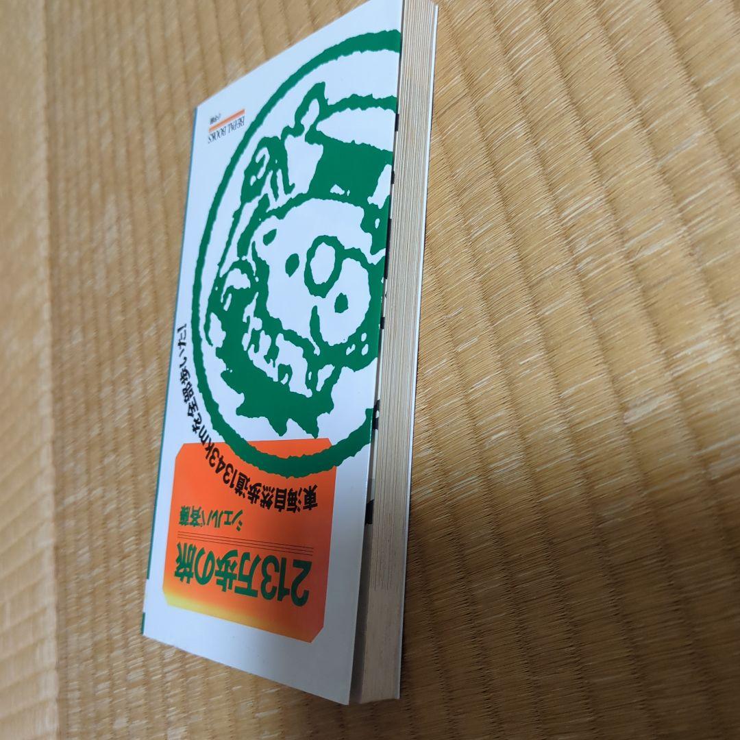 213万歩の旅　シェルパ斉藤 — image 3