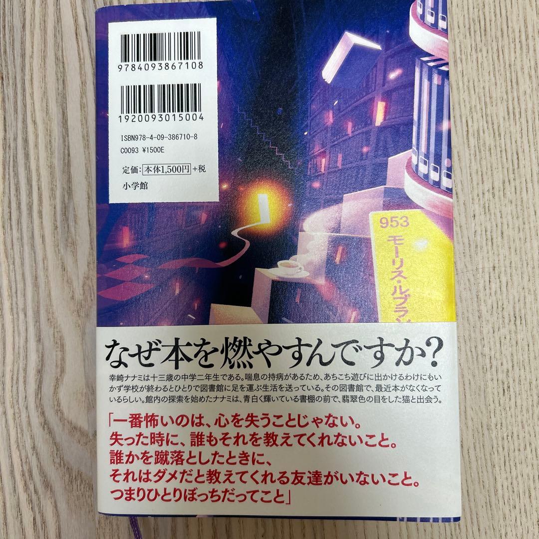 君を守ろうとする猫の話 — image 2