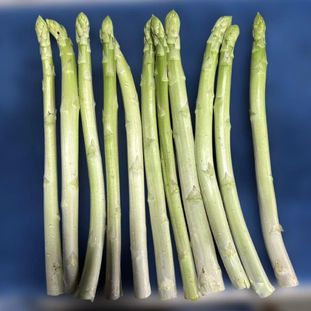 訳あり品 アスパラガス 500ｇ — image 2