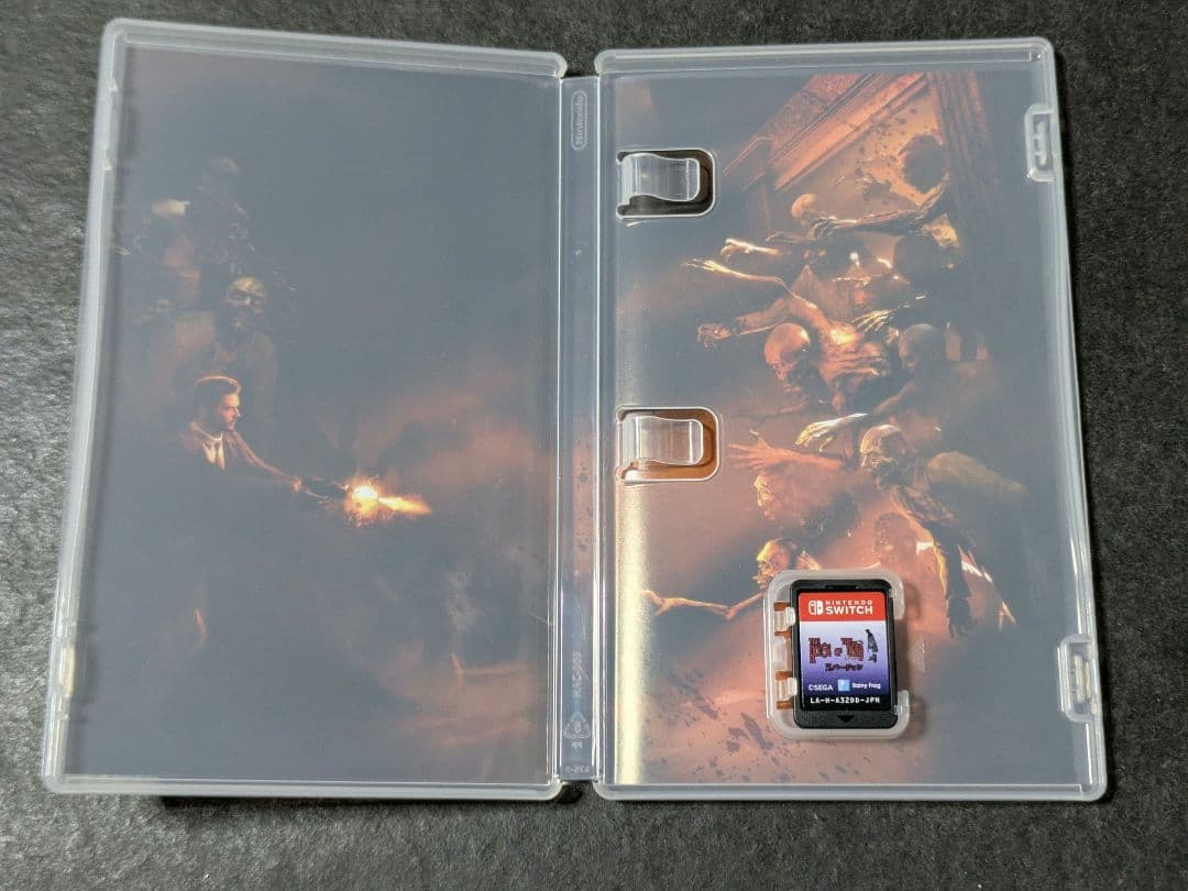 ザ・ハウス・オブ・ザ・デッド:リメイク Zバージョン Switch — image 3