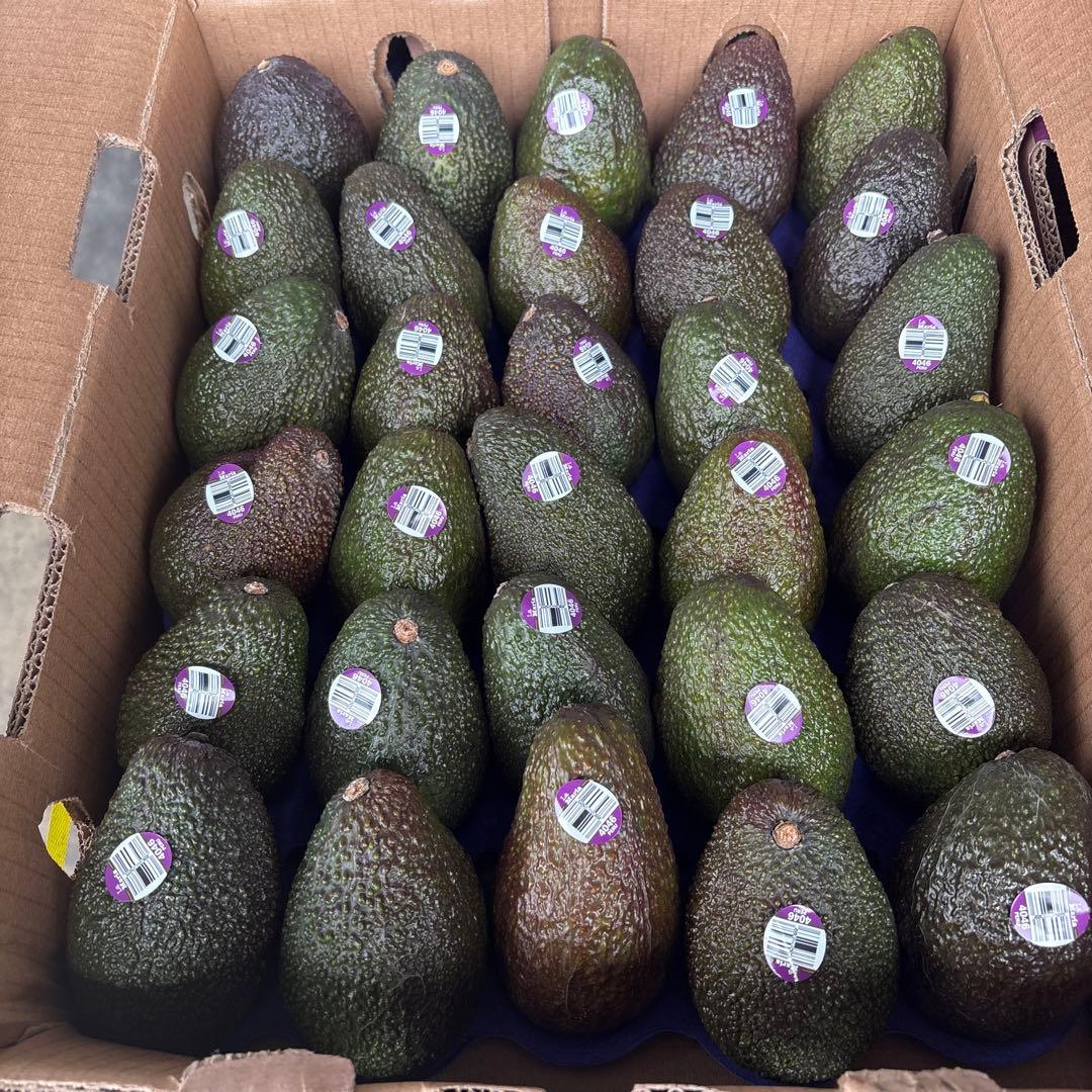 ペルー産　アボカド　30個 5kg — image 2