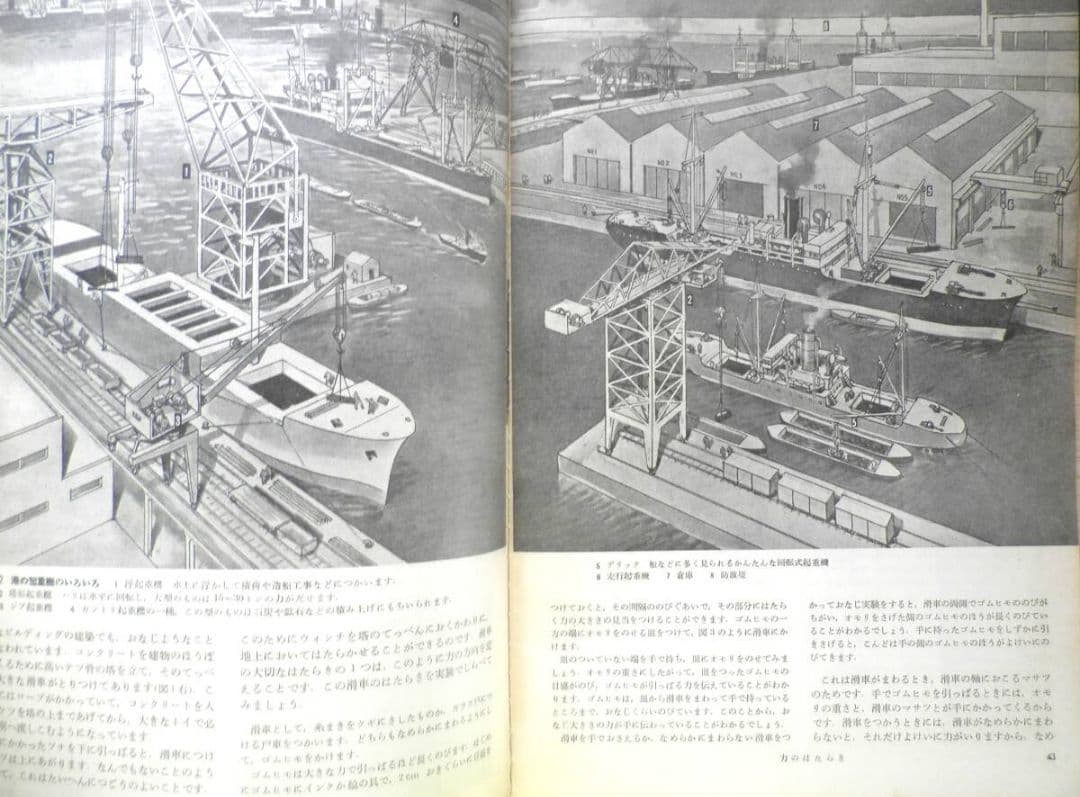 科学の学校 2年2号　昭和27年　アブラとシボウ　岩波書店　d — image 3
