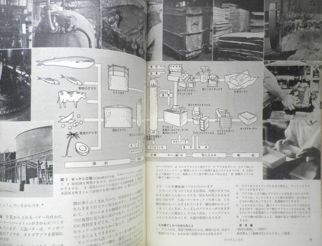 科学の学校 2年2号　昭和27年　アブラとシボウ　岩波書店　d — image 4