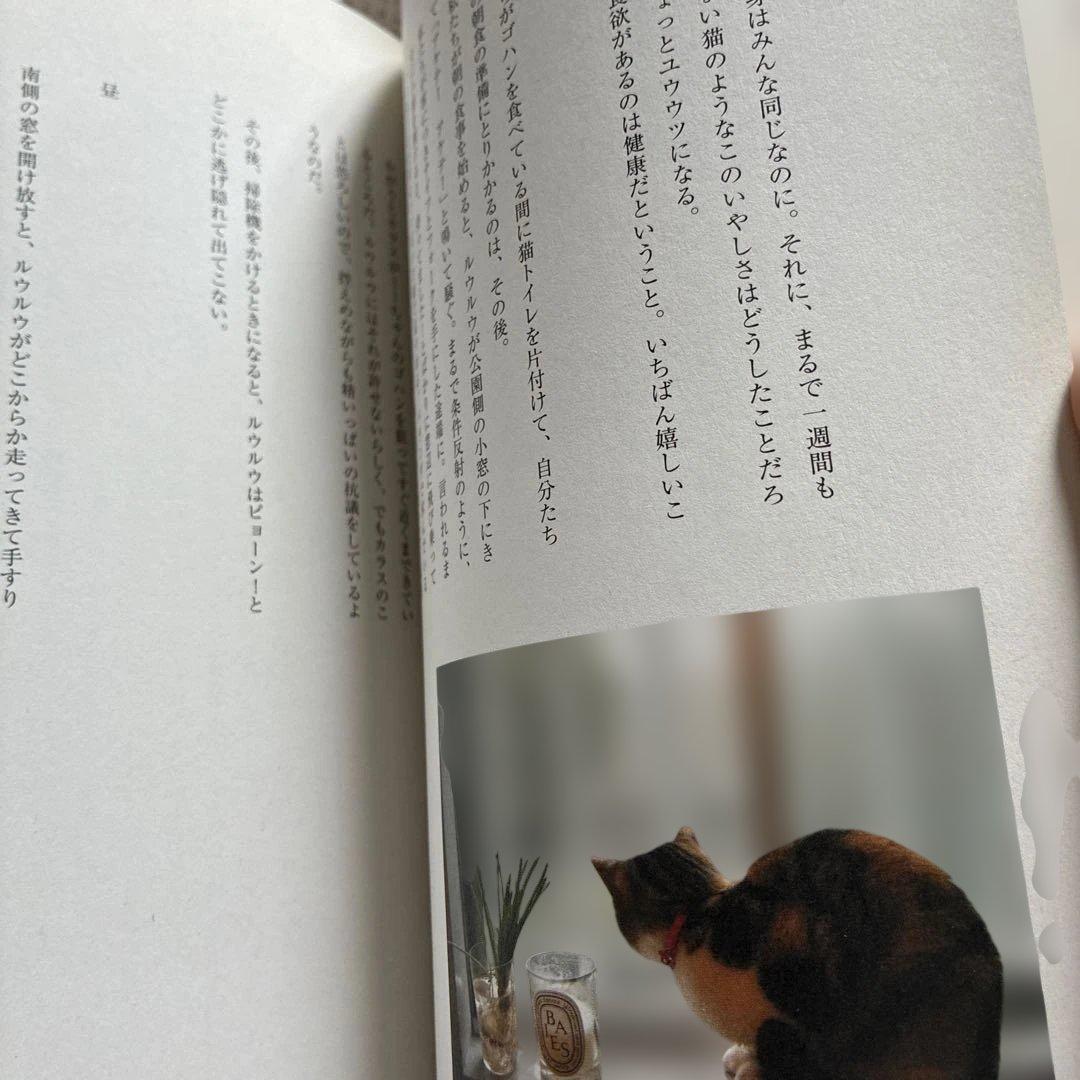 猫に恋して 高田理香 エッセイ集 — image 4