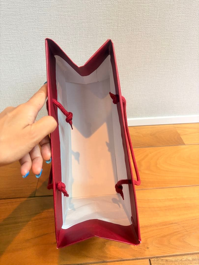 Salvatore Ferragamo ショップ袋 — image 4