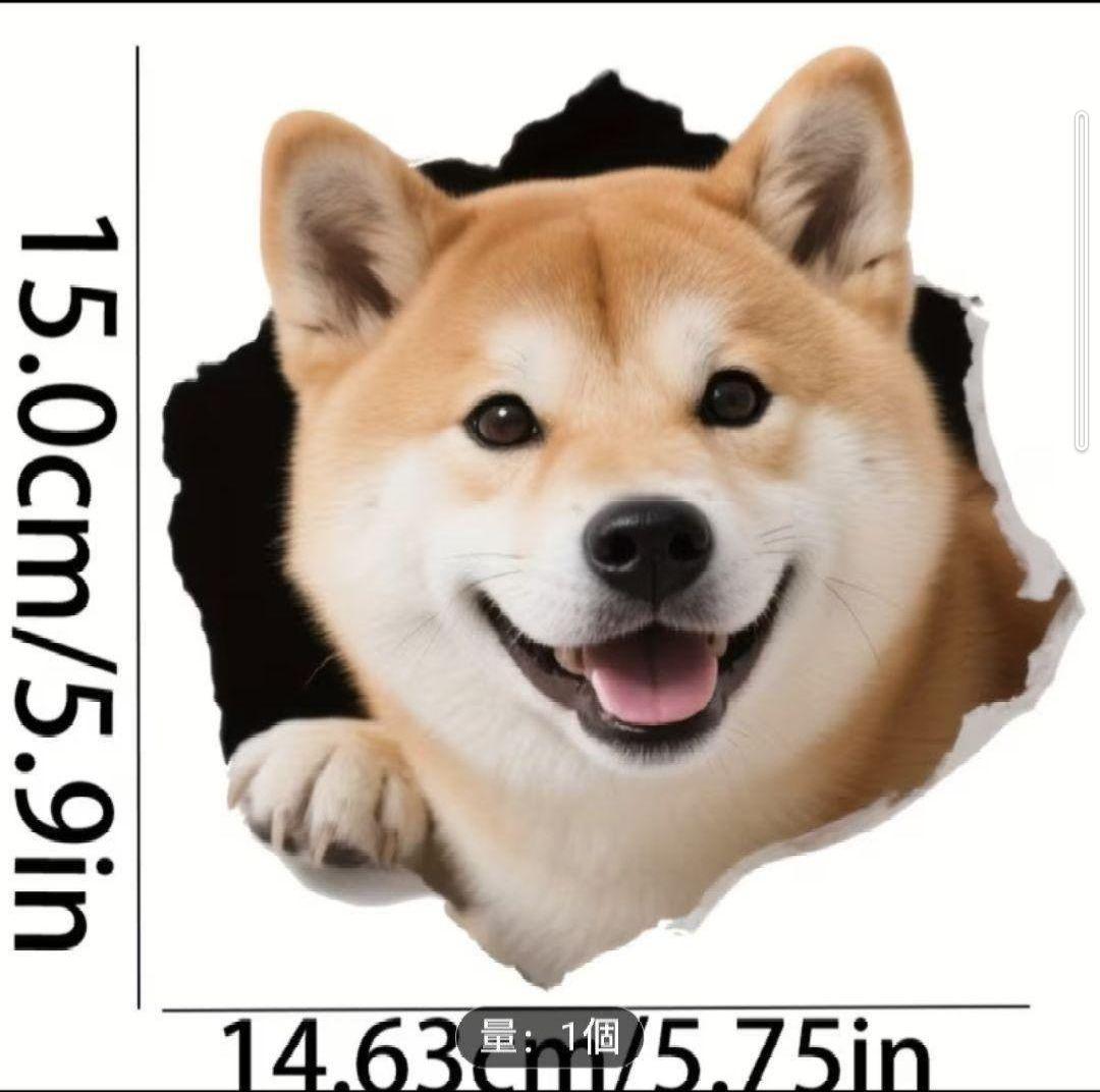 柴犬 ステッカー — image 2