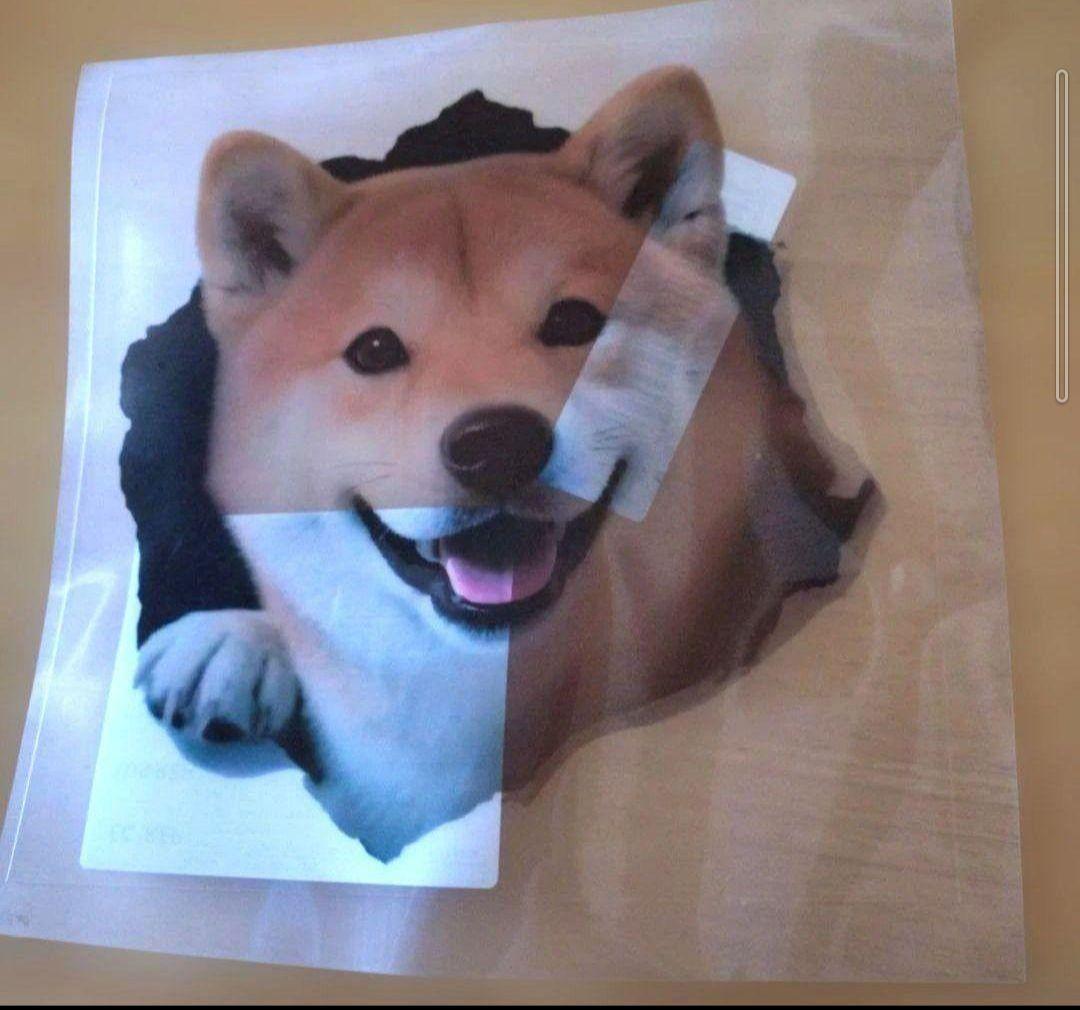柴犬 ステッカー — image 4