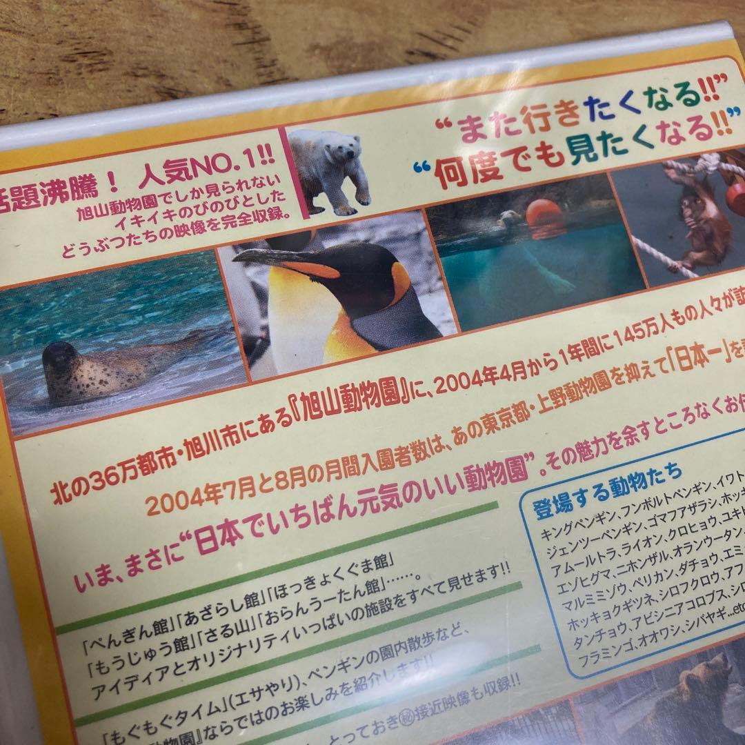 体験!旭山動物園 — image 3