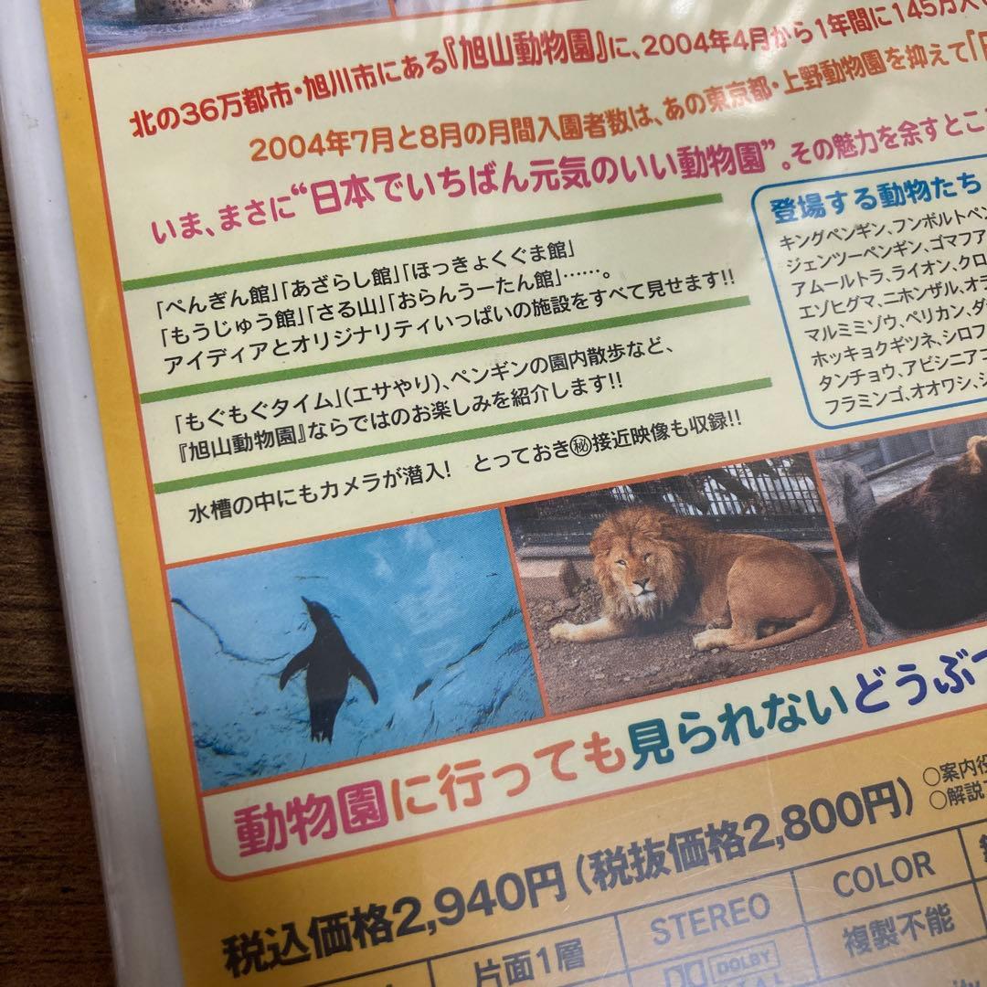 体験!旭山動物園 — image 4