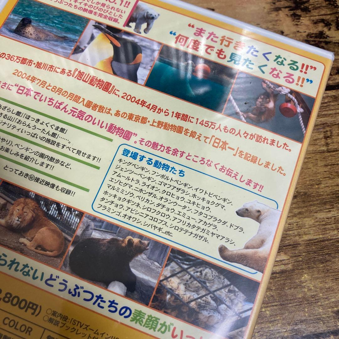 体験!旭山動物園 — image 5