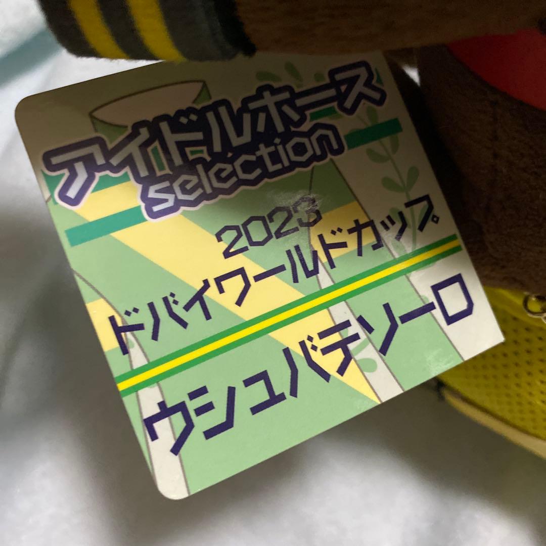 アイドルホース　2023ドバイワールドカップ　ウシュバテソーロ — image 3