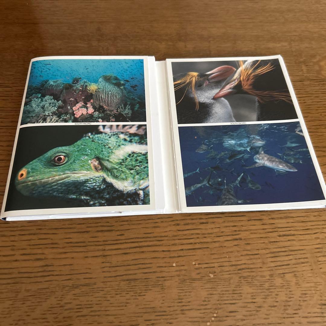 BBC EARTH SOUTH PACIFIC DVD BOX — image 2