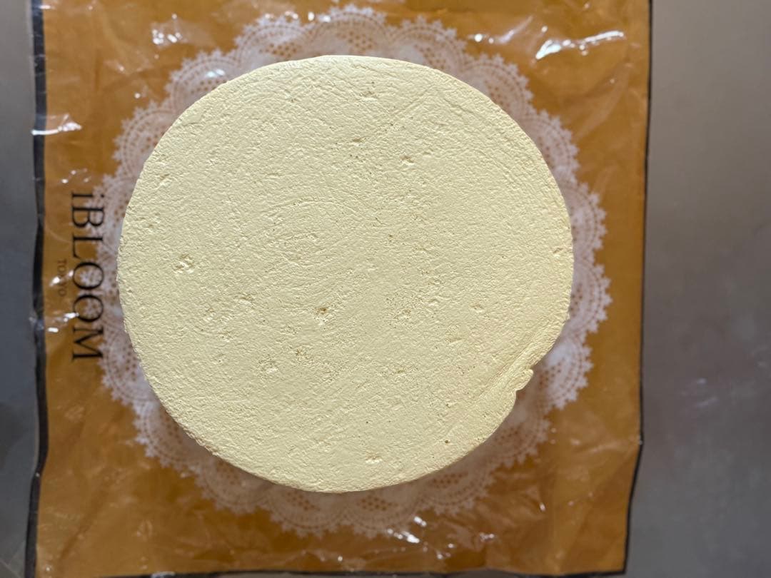 BLOOM スクイーズ CHEESECAKE チーズケーキ — image 3