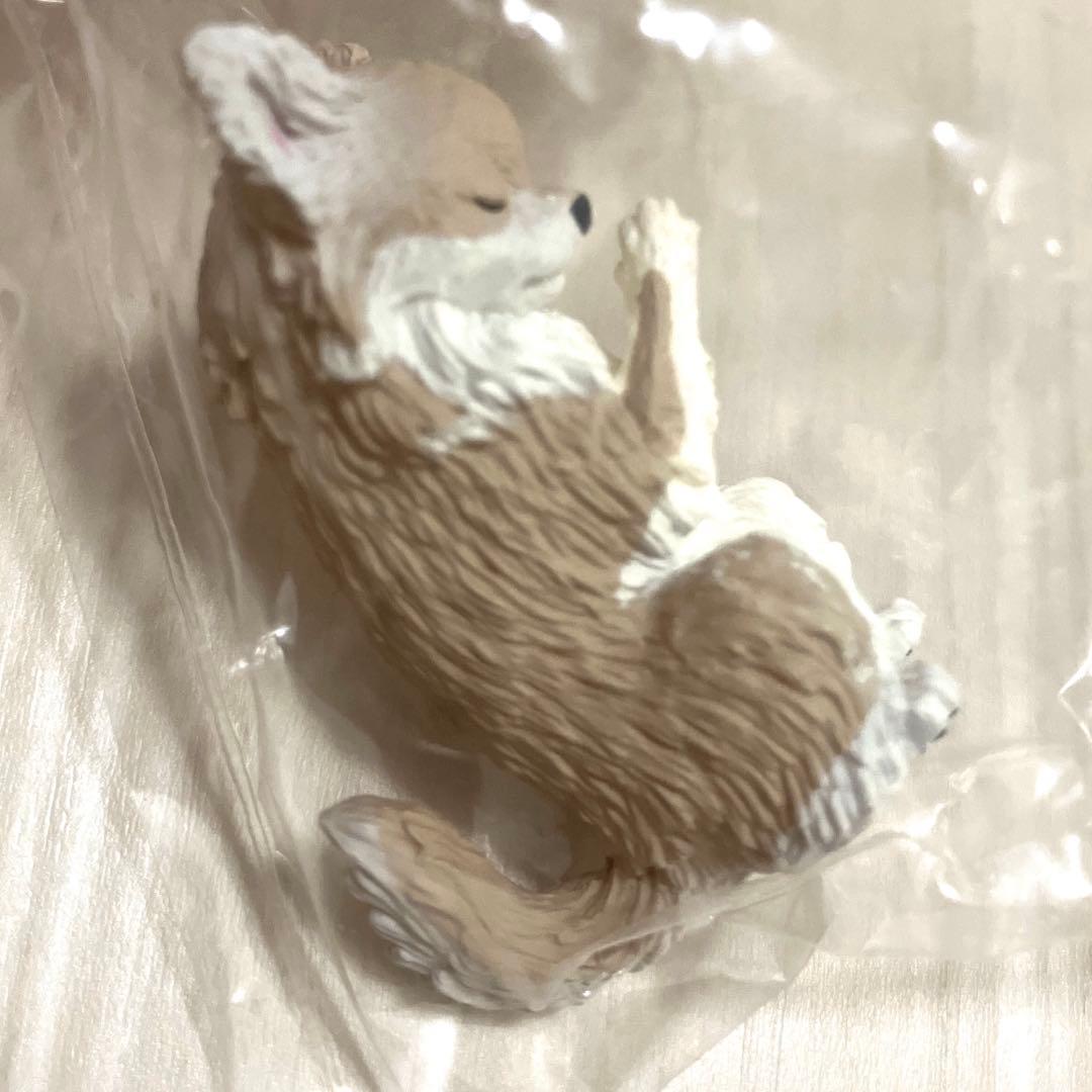 合掌 匠 犬拝　チワワ　ガチャ① — image 2