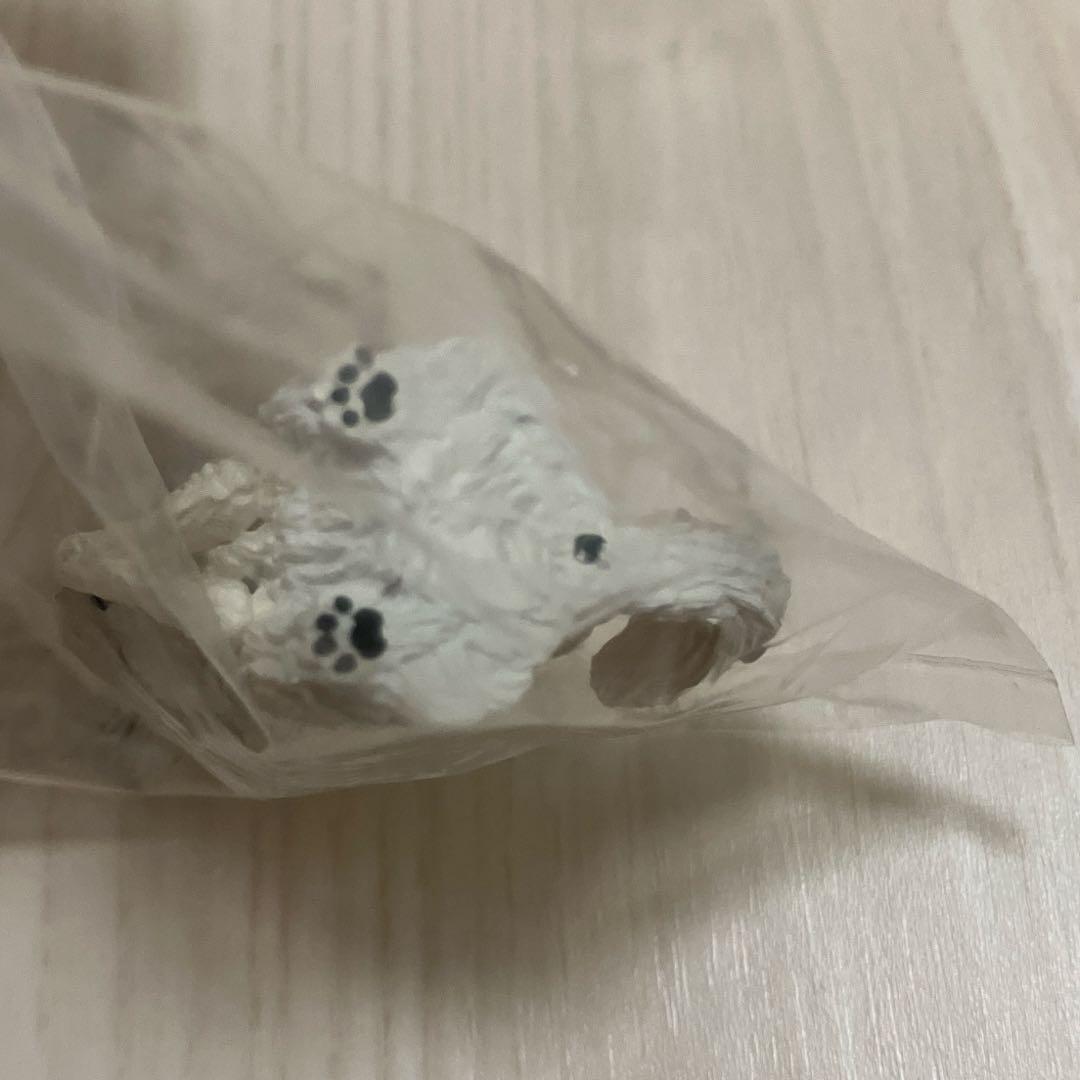 合掌 匠 犬拝　チワワ　ガチャ① — image 4
