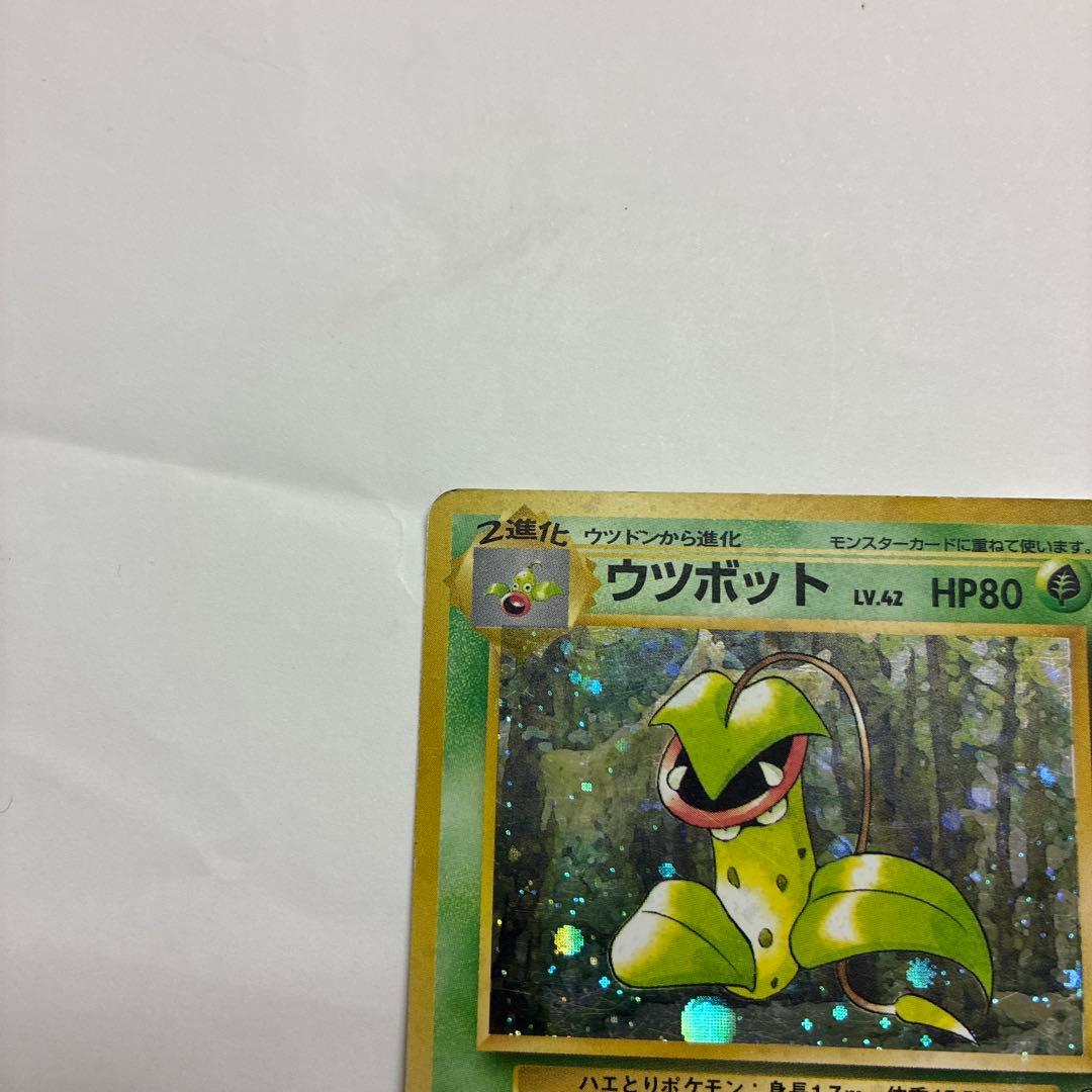 ウツボット ポケモンカード　旧裏　pokemoncard holo — image 3