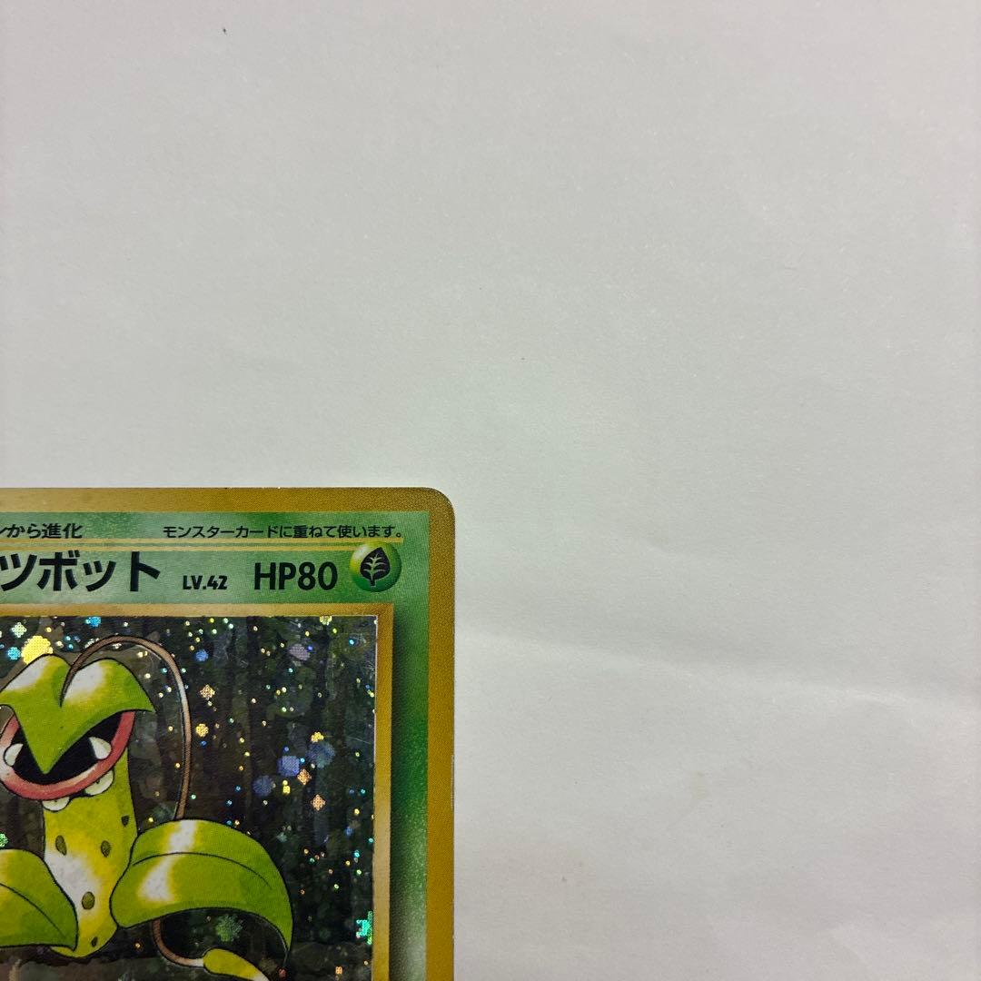 ウツボット ポケモンカード　旧裏　pokemoncard holo — image 4