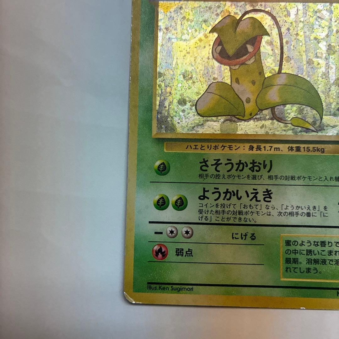 ウツボット ポケモンカード　旧裏　pokemoncard holo — image 5
