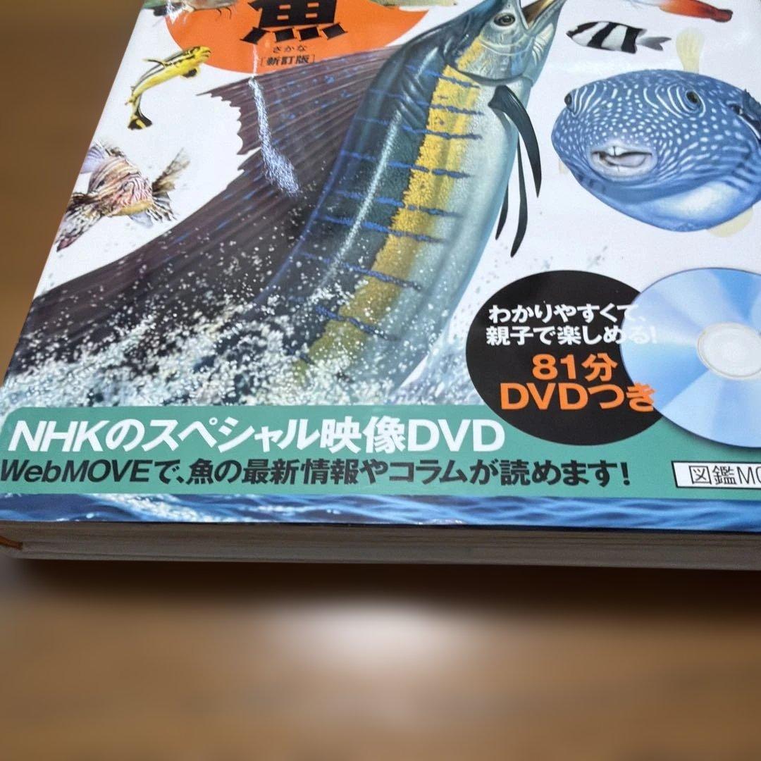 魚　講談社　move — image 4