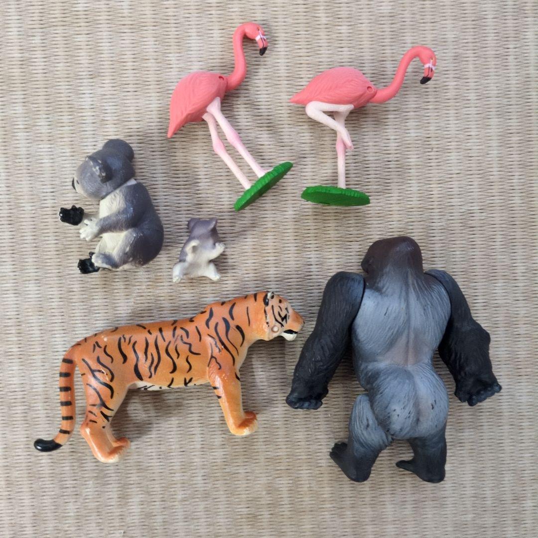 アニア　動物 — image 5