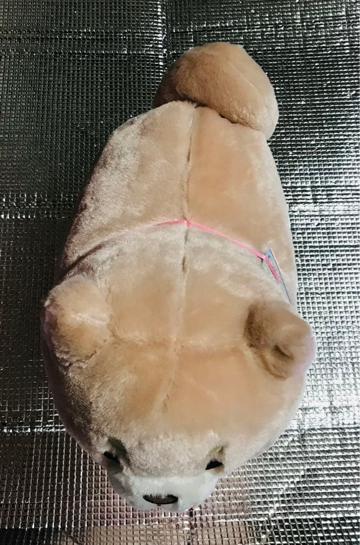 忠犬もちしば ぬいぐるみ タグ付き 柴犬 日本 豆柴 可愛い 動物 芝犬 人気 — image 2