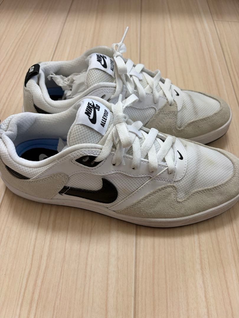 NIKE SB ナイキ エスビー ALLEYOOP アリウープ 26cm 白 — image 2