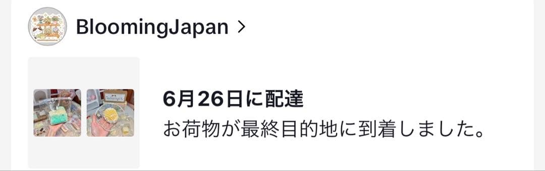 BloomingJapan マドレーヌ スクイーズ — image 2