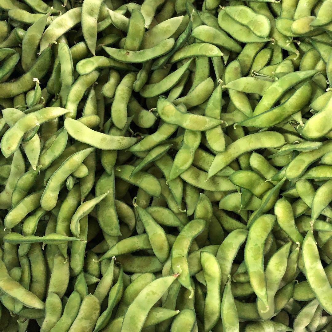 明日朝収穫！発送！茶豆風味の枝豆 — image 4