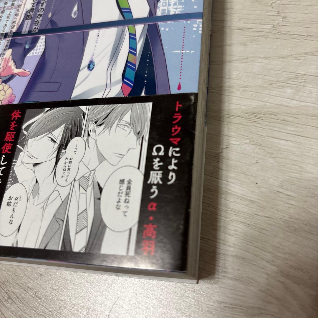 楔ケリ パパセクスキャラメリゼ 狂い鳴くのは僕の番 — image 2