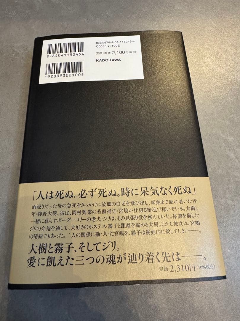 海霧 ジリ　馳星周 最新作　美品　角川書店 — image 2
