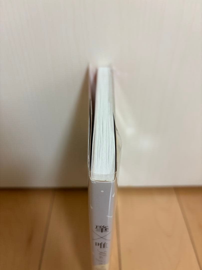 肇×唯 あゆ河 — image 2