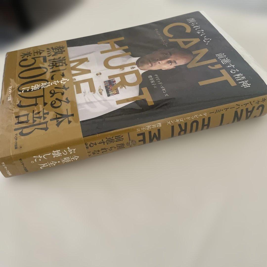 【透明カバー付き美品】CAN'T HURT ME(キャント・ハート・ミー) — image 2