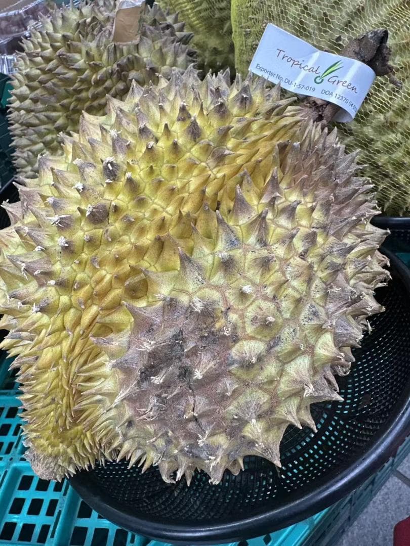 ドリアン 訳あり品 表面一部にカビ 5kg 佐川冷蔵発送 — image 2