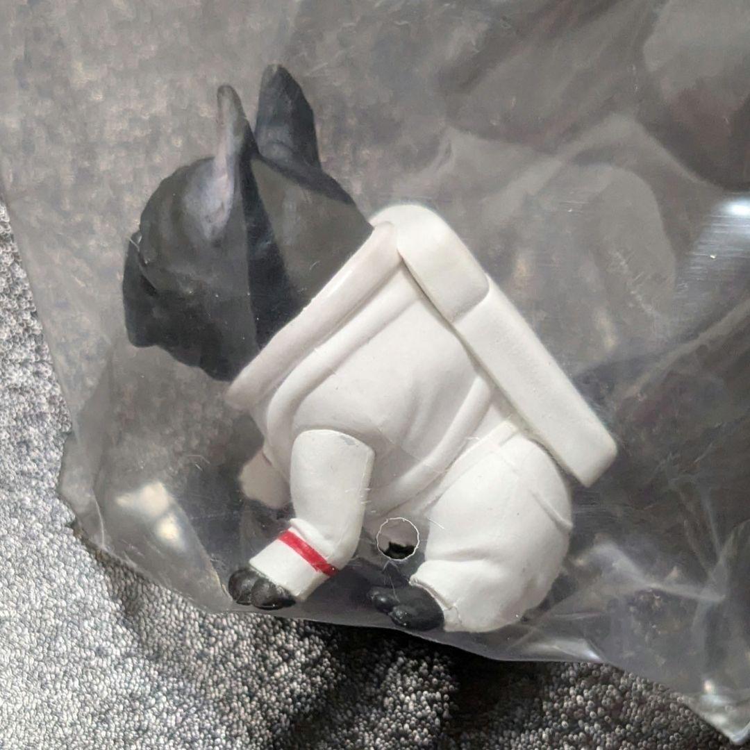 フレブルフレンズ2 宇宙なフレブル — image 2