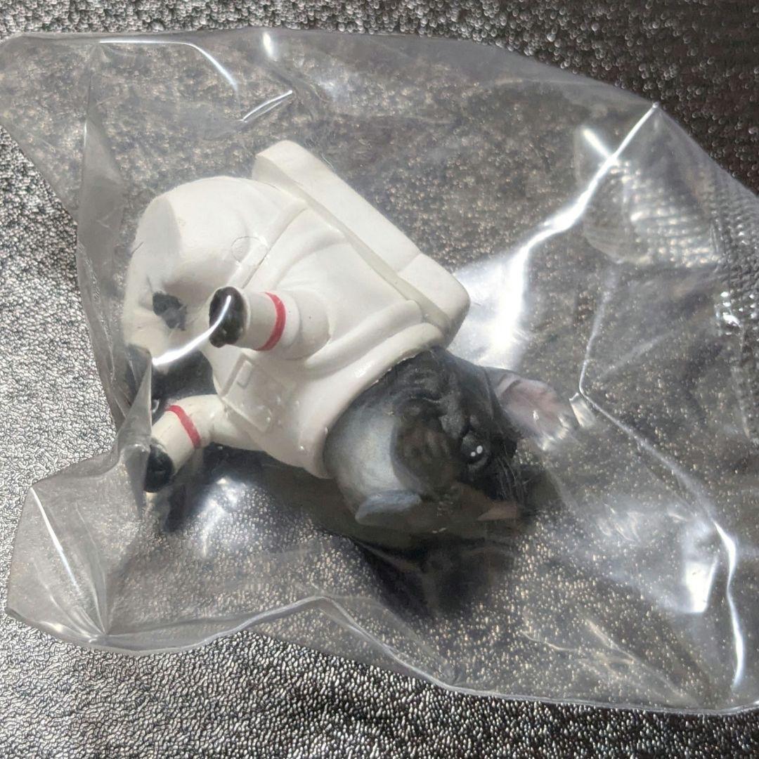 フレブルフレンズ2 宇宙なフレブル — image 3
