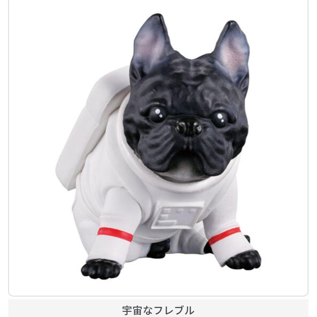 フレブルフレンズ2 宇宙なフレブル — image 5